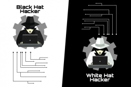 White Hat Hacker