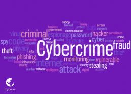 security and cybercrime