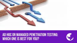 Managed Penetration Testing