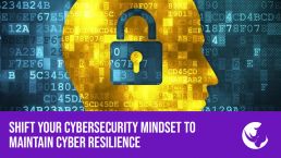 Cybersecurity Mindset