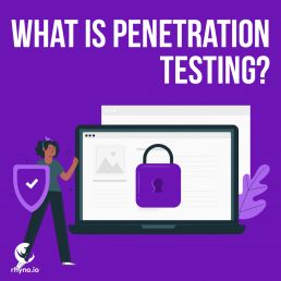 Web Penetration Testing