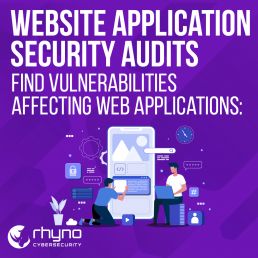 Website Application Security Audit