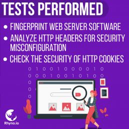 Website Application Security Audit