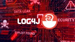 Log4J Vulnerability