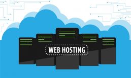 Website Hosting Provider