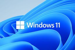 Protection in Windows 11