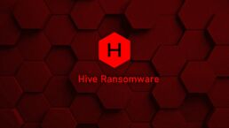 Hive's Source Code and Infrastructure