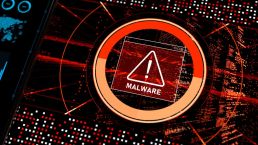 New MrAnon Stealer Malware's