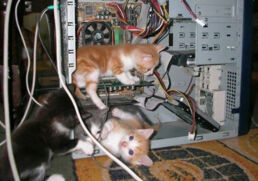 Commando Cat' Cryptojacking Attacks Exposed Docker APIs