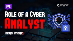 Role of a Cyber Analyst