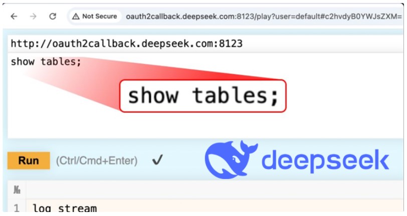 DeepSeek's Database Leak Raises Security Concerns