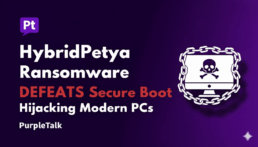 HybridPetya